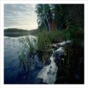 Hiawatha National Forest