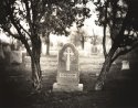 Sorenson (Print)
