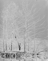 Trying out different printing techniques