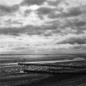 Bait digging on a winter day (version 2)