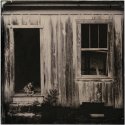 Peyton Colony - Maya
