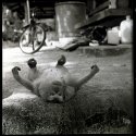 monkey1