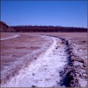 Tracks in Salt Lake