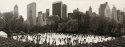 Wollman Rink, Noblex 6/150F