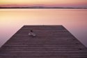End of the Dock