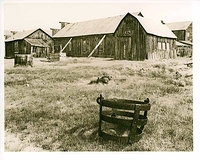 Bodie in Lith (again)