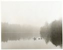 Through The Fog
