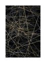 Dry grass stalks