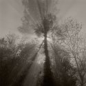 Clearing Fog