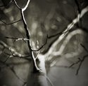chaos
