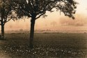 A foggy morning