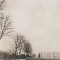Landscape with poplars, Italy