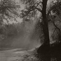 More from the Foggy Road