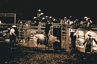 Pushed Film Rodeo 3