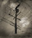 Urban landscape III