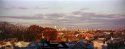 Fall Colors, Maspeth, 2008