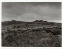 Tor_s_Dartmoor