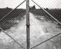 Moshav Fence, 2008