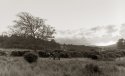 Cloghleagh APUG outing Wicklow