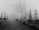 Foggy Rose Hill