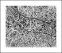 Minnewaska Ice