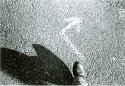foot and arrow