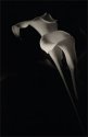 Calla Lilies