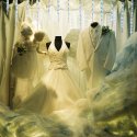 The Wedding