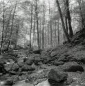 Kaltbrunnental #2
