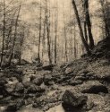 Kaltbrunnental #2 Kentmere Lith