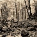 Kaltbrunnental #2 Varycon Lith