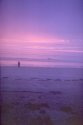 Aldinga Beach, 2006