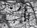 Still life on stucco