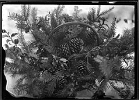 oh!  another glass neg!