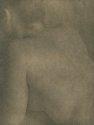 Untitled Nude
