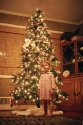 Oh Christmas Tree