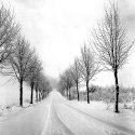 Winter Alley