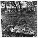 Stones of memory..