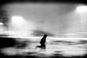 Run