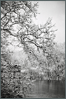 Winter Riverside
