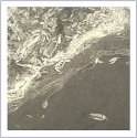 Pond Scum I
