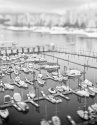 False Creek 1