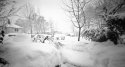 A Pinhole Christmas