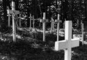 Crosses