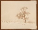 Winter - Scottish Borders