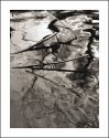 Water Play