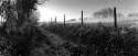 Long Road
