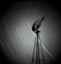 Windmill Night