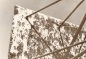 Rusted Backboard
