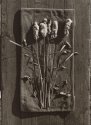 Cat Tails #1